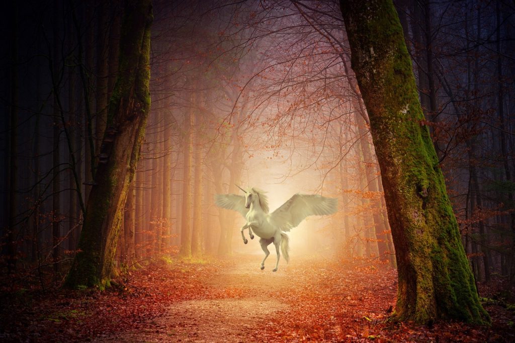 unicorn, fantasy, tale-4766547.jpg